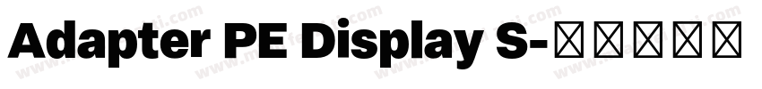 Adapter PE Display S字体转换